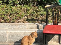 -Jeans Coffee牛仔裤咖啡