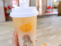 藤椒豆乳茶-维维豆奶(金鹰新街口店)