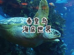 -秦皇岛新澳海底世界