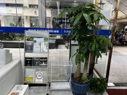 -蕾特恩专业祛痘国际连锁