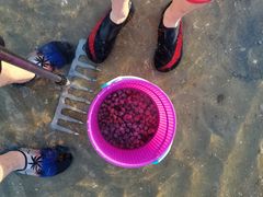 -北海金海湾红树林生态旅游区