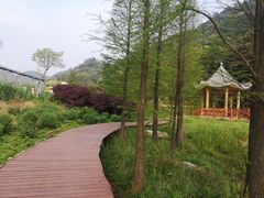 -广州市石门国家森林公园