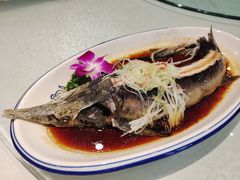 麻香鲈鱼-清雅轩·清真菜·春饼•烤鸭(滑翔店)