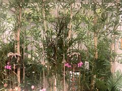 -施奈儿.洗头頭療.按摩SPA.采耳(上梅林店)