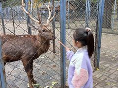 -长白岛森林公园