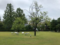 -金泽21世纪美术馆