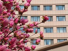-北京建国饭店