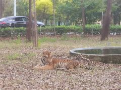 -秦皇岛野生动物园