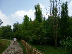 -贵阳市花溪国家城市湿地公园