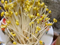 -龙厂长老火锅(抚琴店)