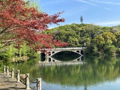 -杭州半山国家森林公园