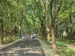 -东湖落雁景区