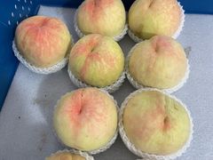 -老袁家蜜桃农场·阳山水蜜桃