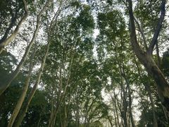 -南京东郊国宾馆