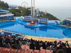 -海洋公园海洋列车－海滨站