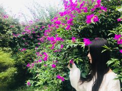 -南山植物园