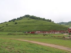 -关山草原
