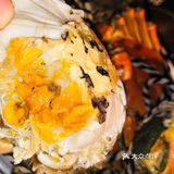 能放手机还能吐壳！在家宅着也可以吃的很开心！