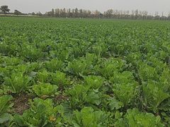 -汉长安城未央宫国家考古遗址公园