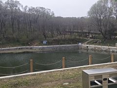 -高尔山公园