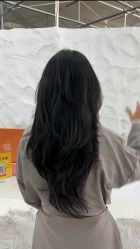 -BOF HAIR BY HONTO