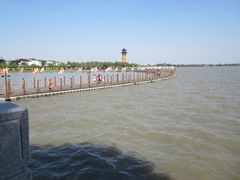 -溱湖国家湿地公园