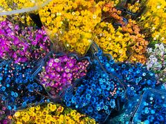 -循礼门鲜花花市(武汉循礼门店)