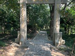 -上海佘山国家森林公园天马山园