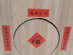 -滚猫咖啡·猫咖·猫友好撸猫(未来城店)