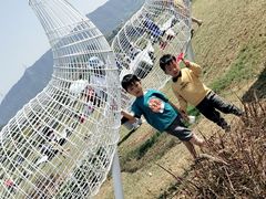 -光明小镇欢乐田园