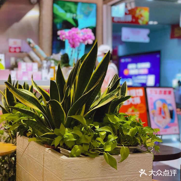 果果探店|可可心愿茶