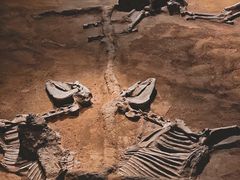 -洛阳周王城天子驾六博物馆