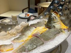 -俏陵轩·南京本土菜(奥体博览中心店)