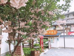 -横店广州街·香港街