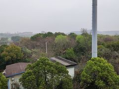 -上海市保健医疗中心