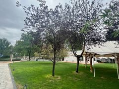 -春晖园度假酒店温泉