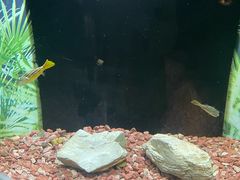 -上海海洋水族馆