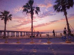 -宝安西湾红树林湿地公园