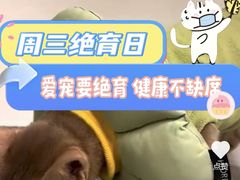 -艾吉宠物医院·疑难杂症转诊中心·猫友好(碧江路院)