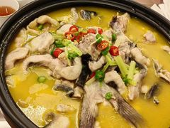 -鲁宴·鲁煨黄河生态大鲤鱼(月坛店)