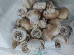 口蘑-北京清河镇农副产品交易市场中心