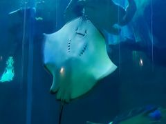 -龙谷湾旅游休闲度假区