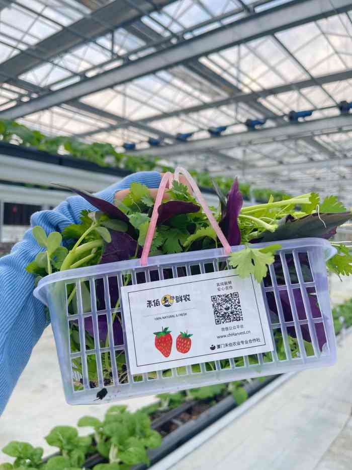 禾伯鲜农创新农场-"性价比非常高的一个特色农场,很适合带家里.