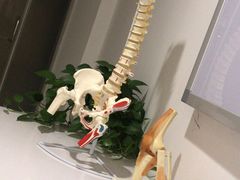 -APT运动康复中心(徐汇万科店)