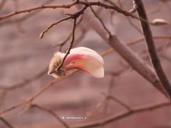 -东华门大街小区