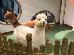 -藦茜花园宠物主题亲子互动体验馆(国顺东路店)