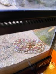 -酷嗒动物文化乐园(cutezoo西溪乐天城店)