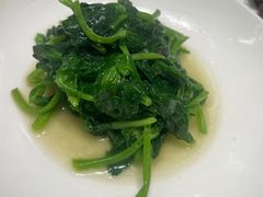 -蝶园·装修中(BFC外滩金融中心店)