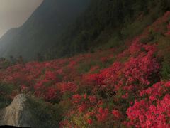 -木兰云雾山