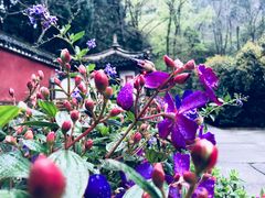 -雁荡山三折瀑景区